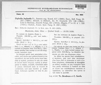 Diplodia juglandis image